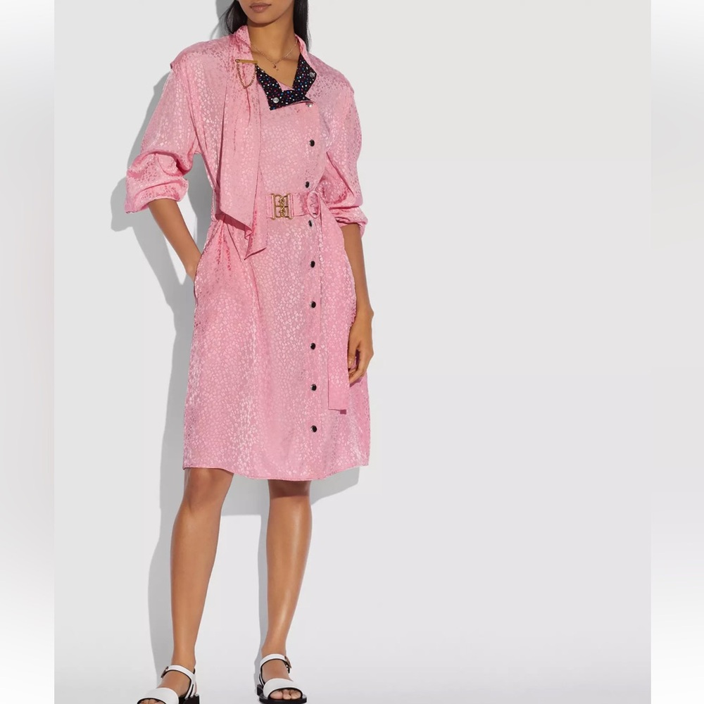 BNWT Coach dress size 8